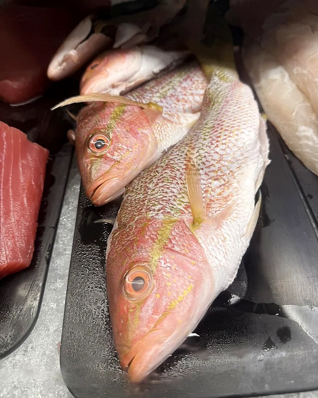 Fresh local seafood at Tonio's market